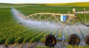 Điều chỉnh Chương trình “Ứng dụng công nghệ cao và sản xuất hữu cơ vào sản xuất nông nghiệp của tỉnh 